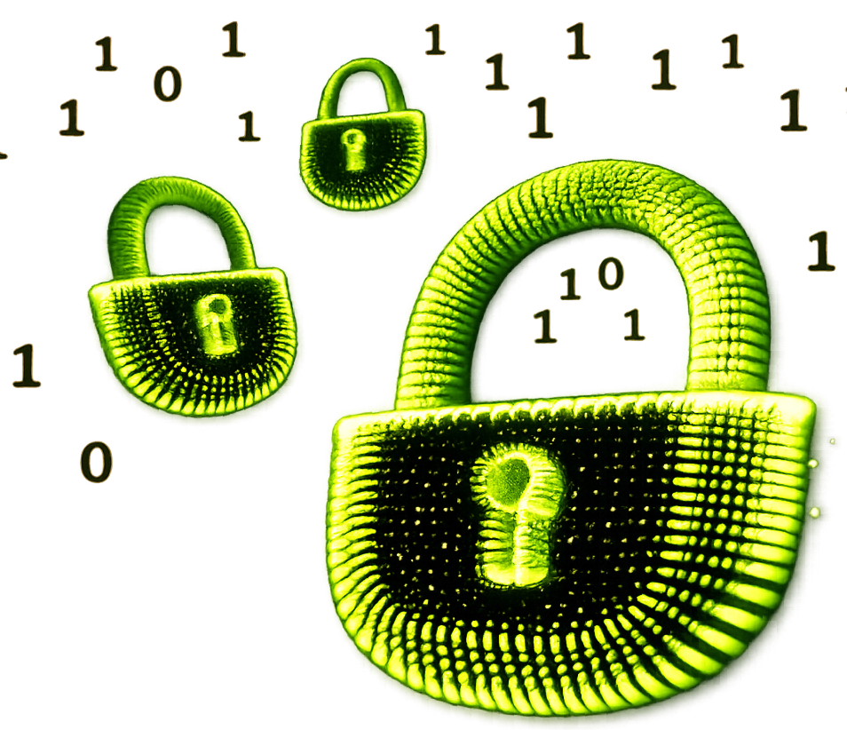 Binary Exploitation