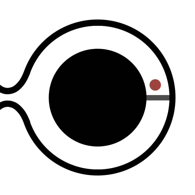 Zero Knowledge Proofs